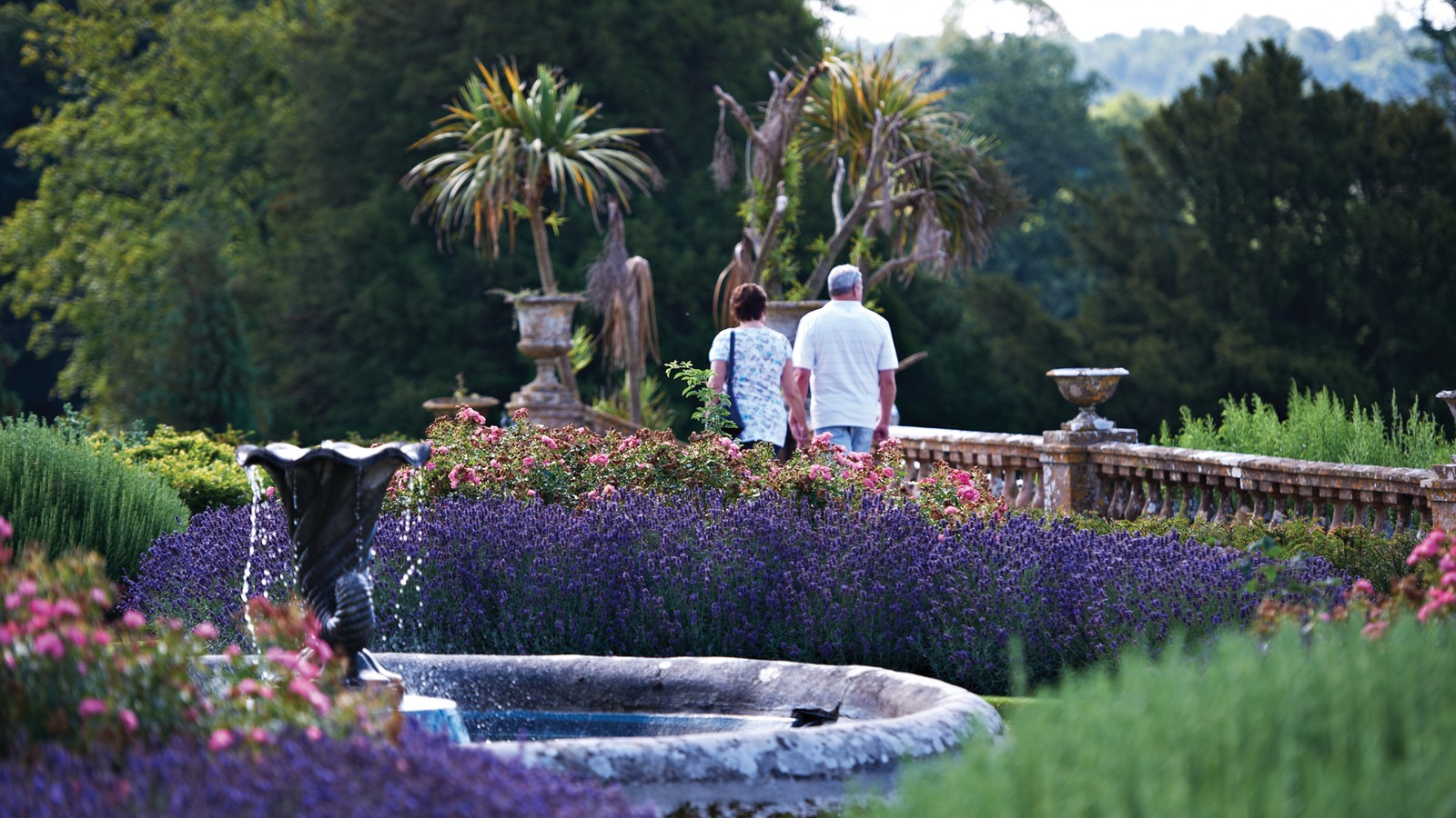 Picturesque views of hotels beautiful gardens surrounded by nature and water fountain features.