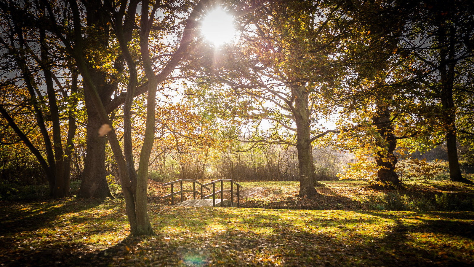 Beautiful lake within the grounds of Gunton Hall surrounded by tall trees and sunshine.