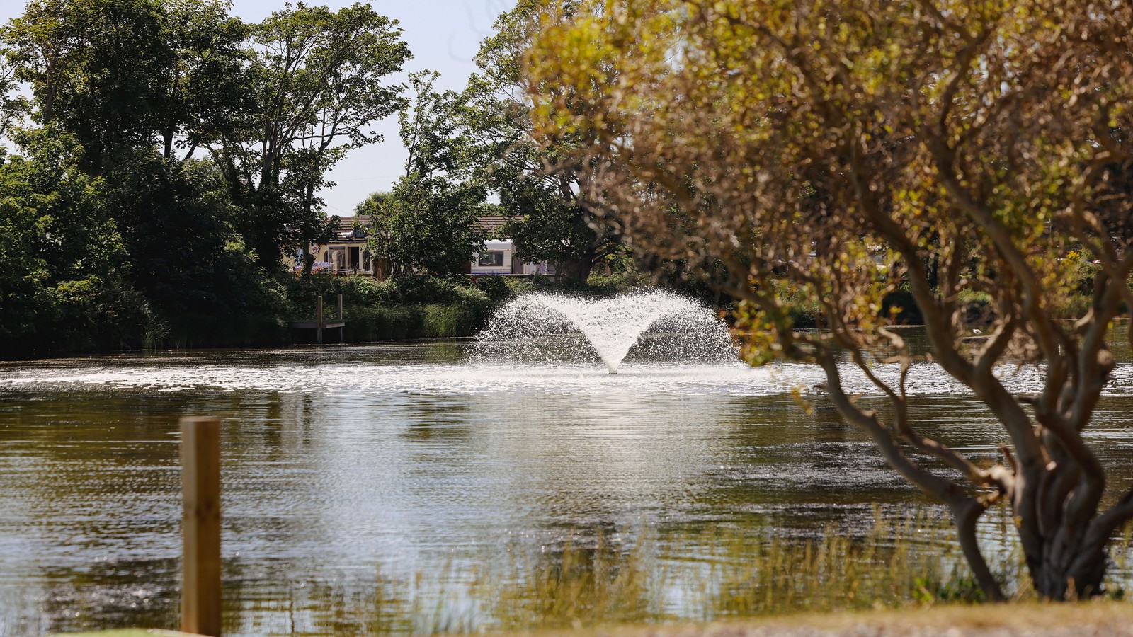 Nestled among vibrant trees, you’ll discover a lake with a beautiful water fountain, adding to the serene atmosphere and offering the perfect moment to pause and enjoy nature.