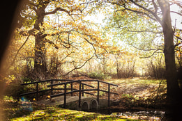 The beautiful lake at Gunton Hall
