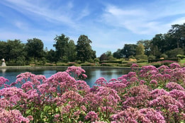 RHS Garden Wisley