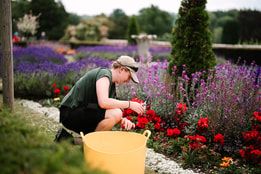 A grounds keeper caring for the grounds
