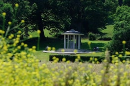 Magna Carta
