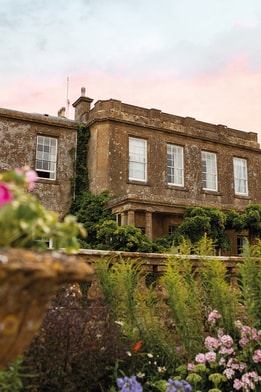 Cricket St. Thomas behind beautiful flowers