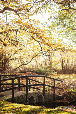 The beautiful lake at Gunton Hall