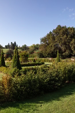The gardens at Holme Lacy