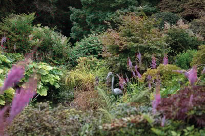 Beautiful garden at Cricket St. Thomas