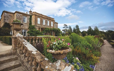 Cricket St. Thomas exterior and grounds