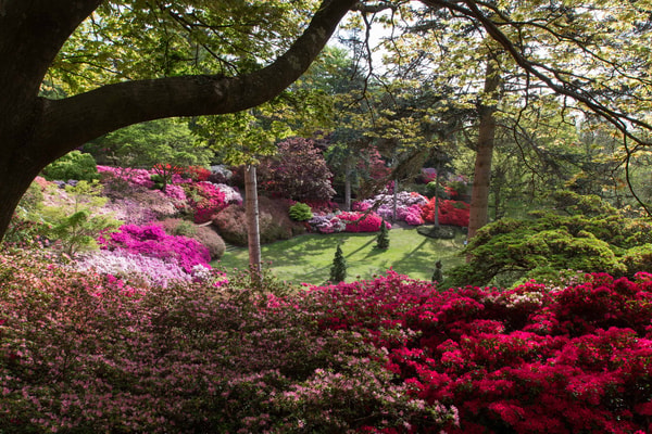 Take in sweeping views from The Punch Bowl in Windsor Great Park. Afterwards, returning to the peaceful riverside feels all the more rewarding.