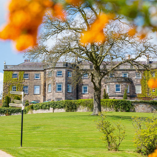 Bright bursts of colour frame Nidd Hall beautifully, making every stroll through the gardens feel like a scene from a storybook.