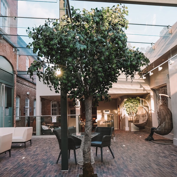 Step into the spa and feel relaxed from the moment you arrive. Set in a courtyard-style orangery with a glorious tree at its centre, the reception invites you to unwind before your treatment.