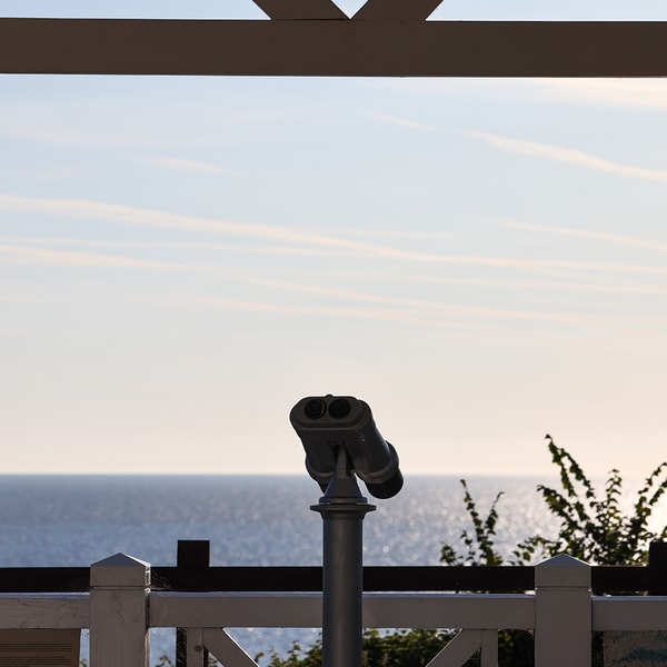 Find our viewing hut, take a look through the binoculars, and see what wonders you can spot out at sea.