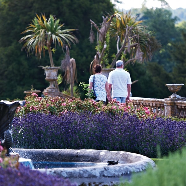 Picturesque views of hotels beautiful gardens surrounded by nature and water fountain features.