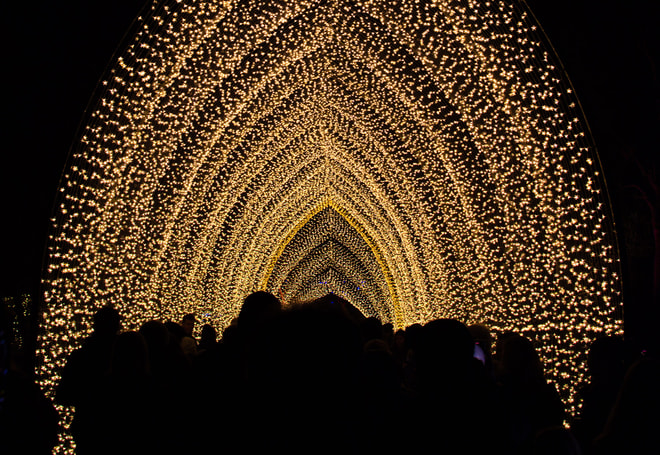 Christmas at Kew light archway
